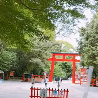 糺ノ森の写真・動画_image_244088