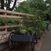 駒沢オリンピック公園の写真・動画_image_244160