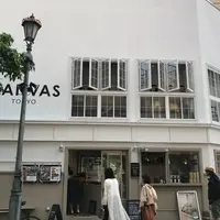 CANVAS TOKYOの写真・動画_image_244533