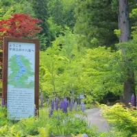 県立自然公園宇津江四十八滝の写真・動画_image_244589