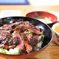 やよいの写真・動画_image_244728