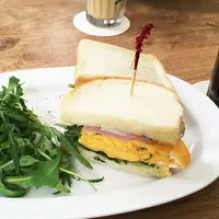 crisscross （クリスクロス）の写真・動画_image_244898