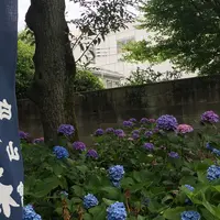 白山神社の写真・動画_image_246162