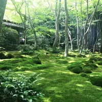 祇王寺の写真・動画_image_246298