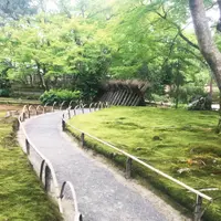宝厳院の写真・動画_image_246303