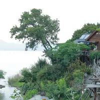 シャーレ水ケ浜の写真・動画_image_246370