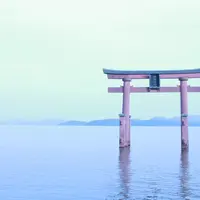 白鬚神社の写真・動画_image_246371