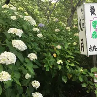 保和苑の写真・動画_image_246498