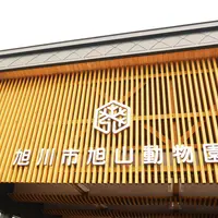 旭川市 旭山動物園の写真・動画_image_246608