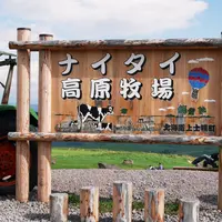 ナイタイ高原牧場の写真・動画_image_246611