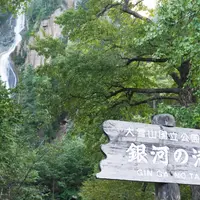 銀河の滝の写真・動画_image_246613