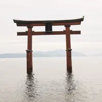 白鬚神社の写真・動画_image_246619