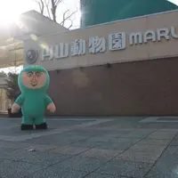 円山動物園の写真・動画_image_246706