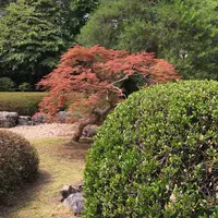 中院の写真・動画_image_247195