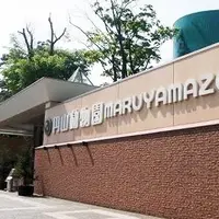 円山動物園の写真・動画_image_247416