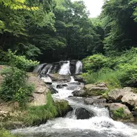 江竜田の滝の写真・動画_image_247449