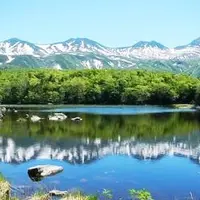 知床五湖の写真・動画_image_247610
