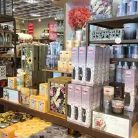 Pier 1 Importsの写真・動画_image_247762