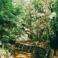 等々力渓谷の写真・動画_image_248327