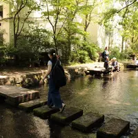 源兵衛川親水公園の写真・動画_image_248637