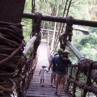 祖谷のかずら橋の写真・動画_image_248760