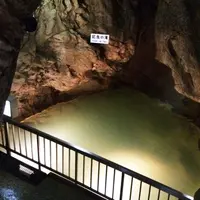 龍河洞の写真・動画_image_248958