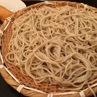 石臼挽きそば 石楽の写真・動画_image_249441