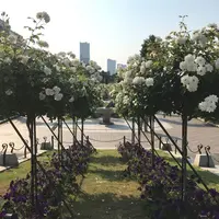 山下公園の写真・動画_image_249652