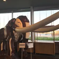 象の鼻パークの写真・動画_image_249655