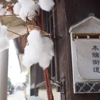 木綿街道交流館の写真・動画_image_250056