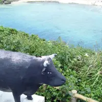 インギャービーチの写真・動画_image_250773