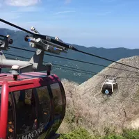 大涌谷の写真・動画_image_250894