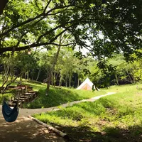 The SOUTHERN PENINSULAの写真・動画_image_251233