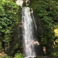 奥入瀬渓流　　の写真・動画_image_251307