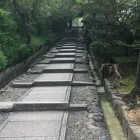 ねねの道の写真・動画_image_251382