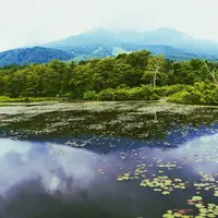 妙高高原（いもり池）の写真・動画_image_251397