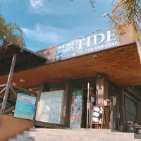 マリン・サポート・タイド（ＭＡＲＩＮＥ・ＳＵＰＰＯＲＴ・ＴＩＤＥ）の写真・動画_image_251471