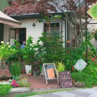 ナチュラル カフェイーナの写真・動画_image_251637