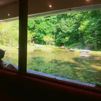 ピッキオの写真・動画_image_251641