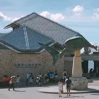 沖縄美ら海水族館の写真・動画_image_251906
