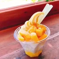 ジョーグゥー（ＪｙｏＧｏｏ）の写真・動画_image_251910