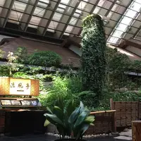 日本料理 渡風亭の写真・動画_image_252092