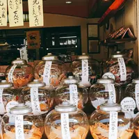 柴又の写真・動画_image_252109