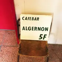 Cafe Bar アルジャーノンの写真・動画_image_252171