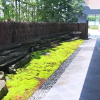 茶洒 金田中の写真・動画_image_252368