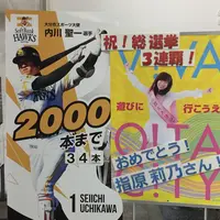 大分市役所の写真・動画_image_252472