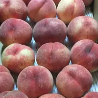 （有）サンセイフルーツランドの写真・動画_image_252500