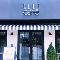 【閉業】ELLE cafe AOYAMA エルカフェ青山の写真・動画_image_252542