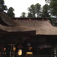 熊野大社の写真・動画_image_252586