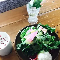 TRITON CAFE 代官山の写真・動画_image_252811
